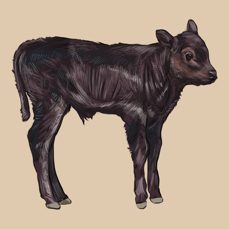 Black Angus Calf Illustrations Heavyweight Sweatshirt by LillyAllenDesigns | Teevron