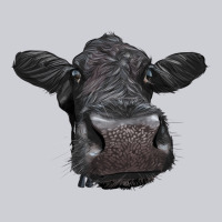 Black Angus Heifer Heavyweight Sweatshirt | Teevron