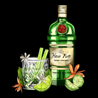 Gin Tonic Bottle And Cocktail Ladies Tee | Teevron