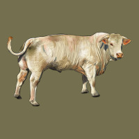 Charolais Bull Vintage Hoodie | Teevron