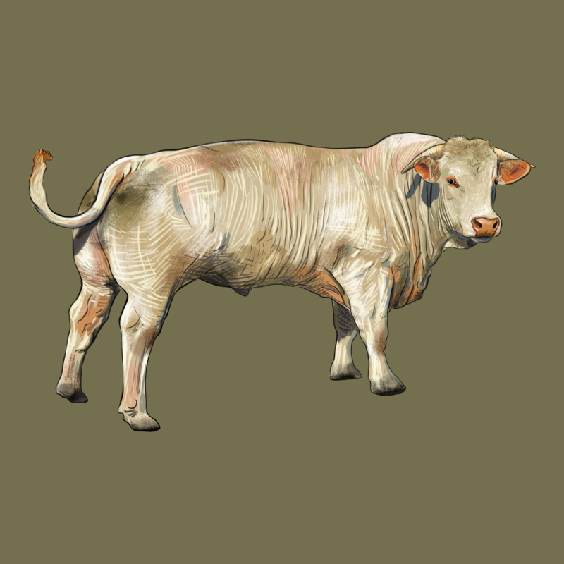 Charolais Bull Vintage Hoodie by RanaPortraitStore | Teevron