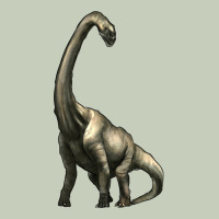 Brachiosaurus Ladies Tee | Teevron