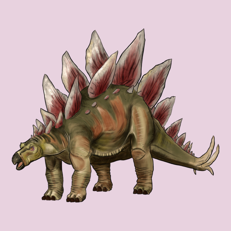 Dinosaur Stegosaurus Ladies Tee by Artiststas | Teevron
