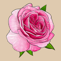 All Dressed Up Rose Heavyweight Sweatshirt | Teevron