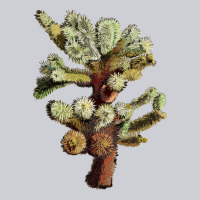 Cholla Tree Cactus Heavyweight Sweatshirt | Teevron