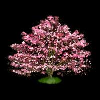 Flowering Dogwood Tree Heavyweight Sweatshirt | Teevron