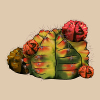 Gymnocalycium Variegated Cactus Heavyweight Sweatshirt | Teevron