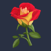 Ketchup And Mustard Rose Heavyweight Sweatshirt | Teevron