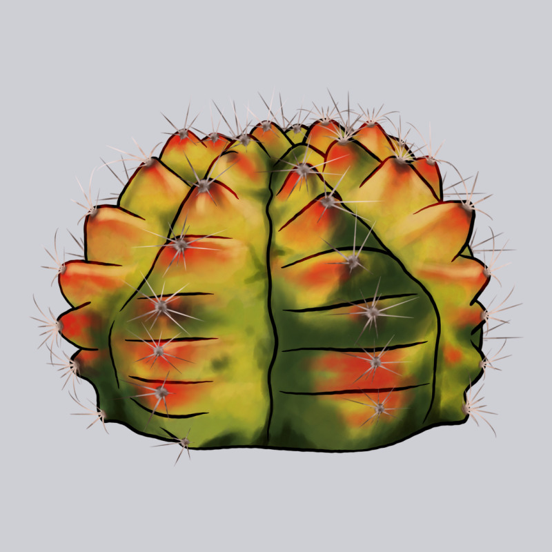 Gymnocalycium Variegated Cactus Heavyweight Sweatshirt by LillyAllenDesigns | Teevron