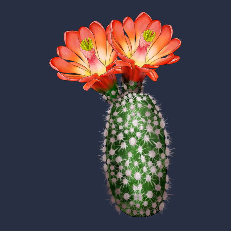 King Cup Cactus Heavyweight Sweatshirt by LillyAllenDesigns | Teevron