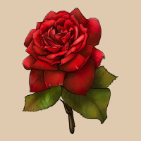 Oklahoma Rose Illustrations Heavyweight Sweatshirt | Teevron