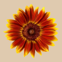 Little Becka Sunflower Heavyweight Sweatshirt | Teevron