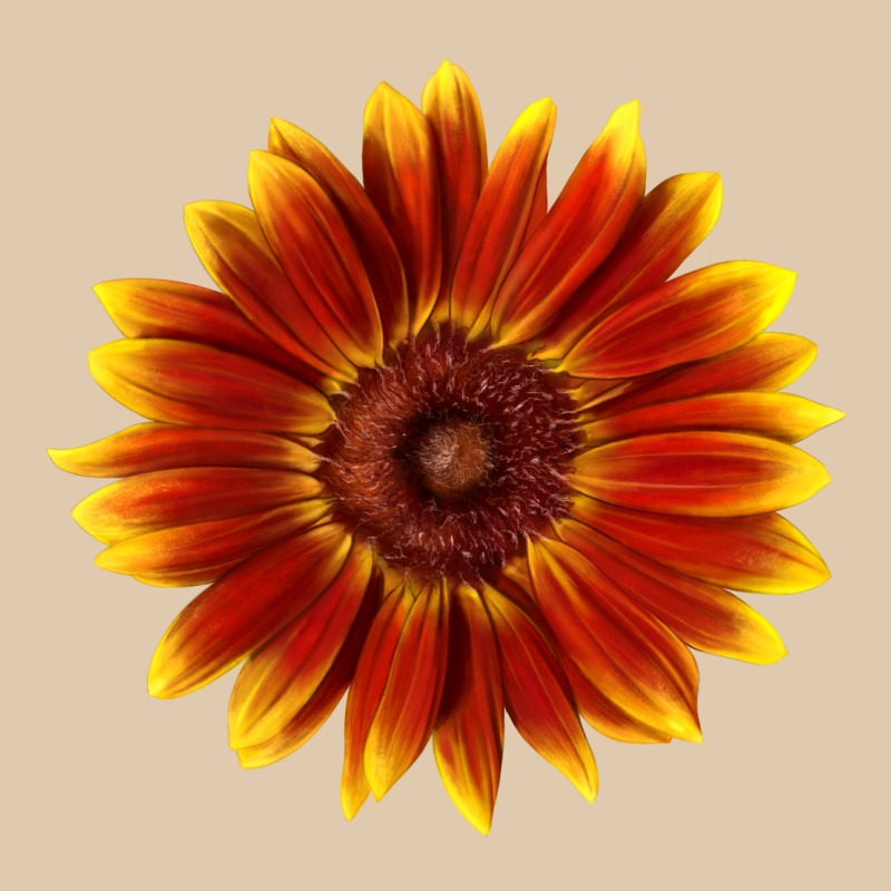 Little Becka Sunflower Heavyweight Sweatshirt by LillyAllenDesigns | Teevron