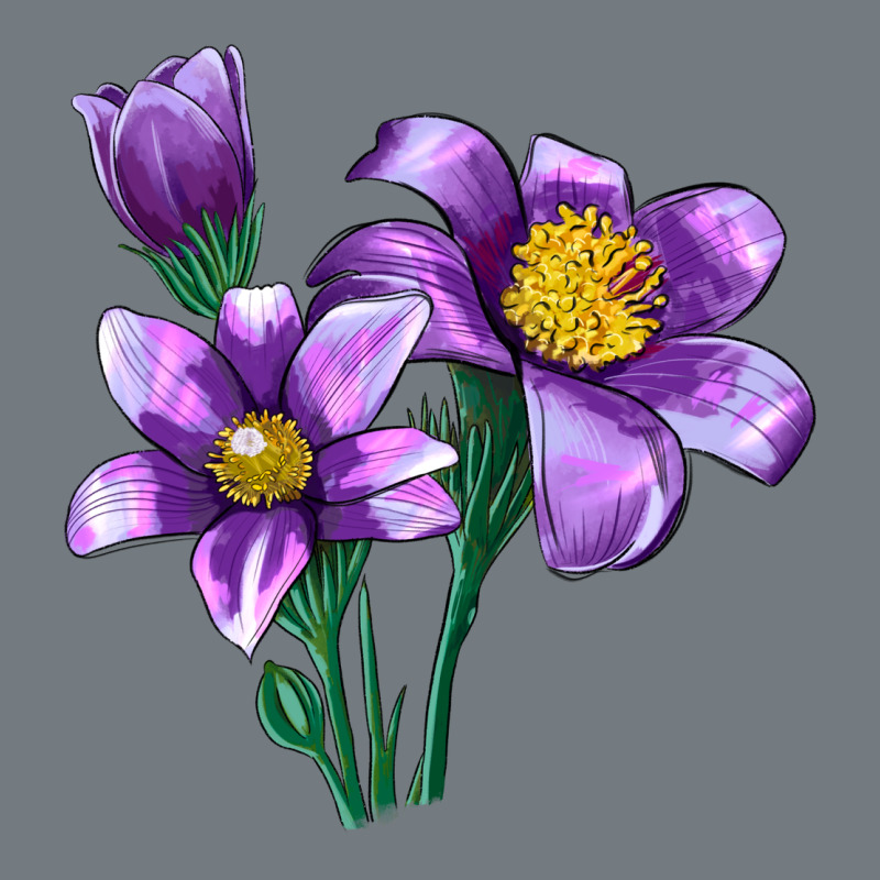 Pasque Flower Illustrations Heavyweight Sweatshirt by LillyAllenDesigns | Teevron