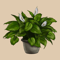 Peace Lily Heavyweight Sweatshirt | Teevron