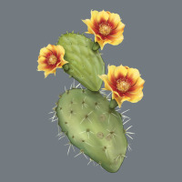 Opuntia Phaeacantha Cactus Heavyweight Sweatshirt | Teevron