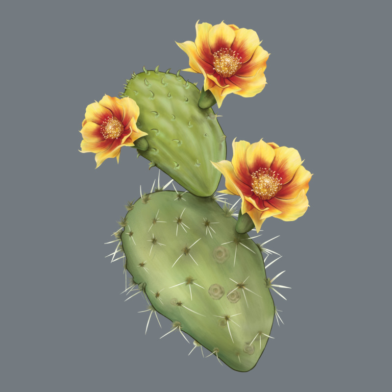 Opuntia Phaeacantha Cactus Heavyweight Sweatshirt by LillyAllenDesigns | Teevron