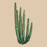 Organ Pipe Cactus Heavyweight Sweatshirt | Teevron