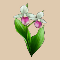 Pink And White Lady's Slipper Flower Heavyweight Sweatshirt | Teevron