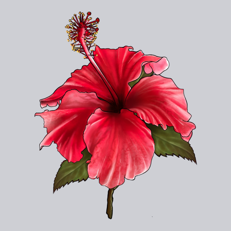 Puerto Rican Hibiscus Flower Heavyweight Sweatshirt by LillyAllenDesigns | Teevron
