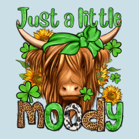 Just A Little Moody St Patricks Day Ladies Tee | Teevron