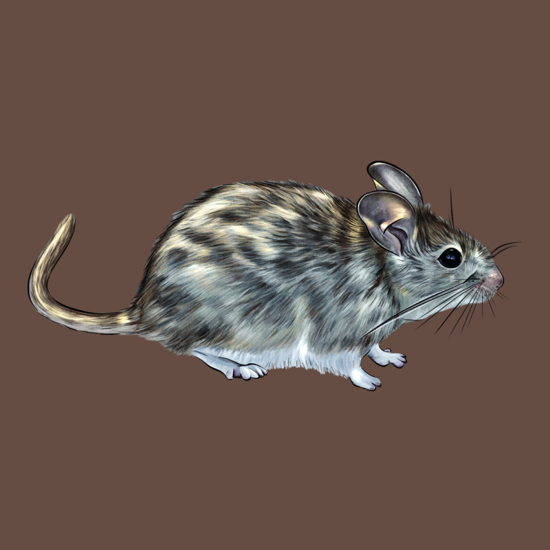 Packrat Aka, Woodrat Long Sleeve Tee by LillyAllenDesigns | Teevron