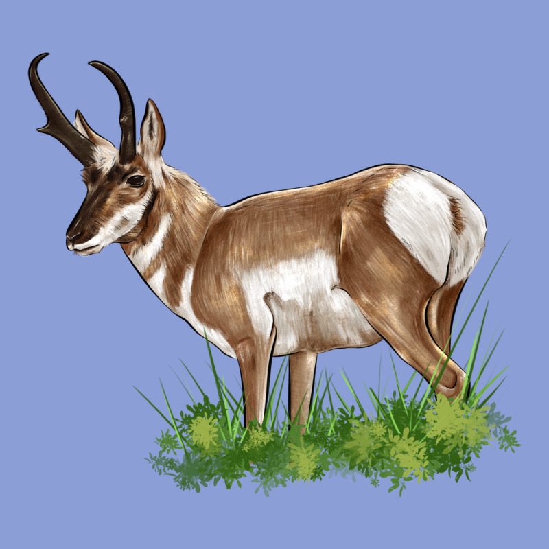 Pronghorn Long Sleeve Tee by LillyAllenDesigns | Teevron