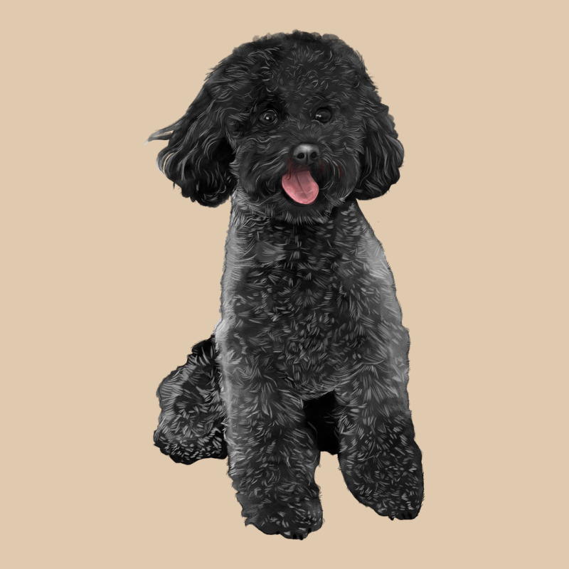 Black Poodles Dog Heavyweight Sweatshirt by LillyAllenDesigns | Teevron