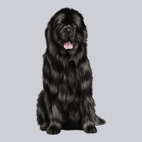 Newfoundland Dog Heavyweight Sweatshirt | Teevron