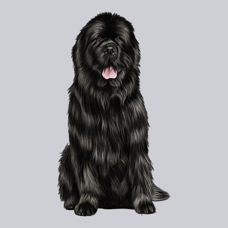 Newfoundland Dog Heavyweight Sweatshirt by LillyAllenDesigns | Teevron