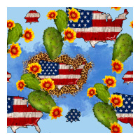 usa map cactus and sunflower seamless pattern | Teevron