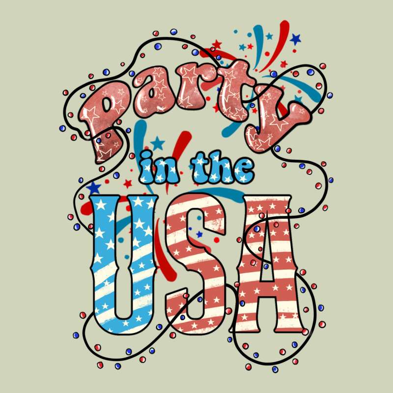 Party In The Usa 4th Of July Heavyweight Hoodie by HowdyJamesFarm | Teevron