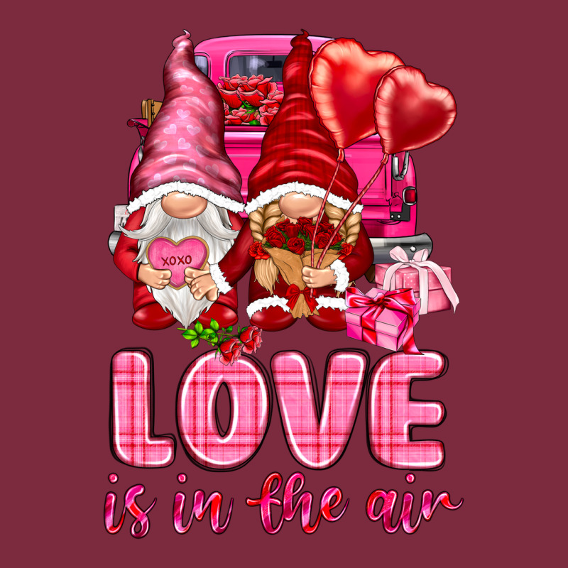Love Is In The Air With Gnomies Valentine's Day Premium Hoodie by HowdyJamesFarm | Teevron