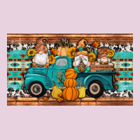Fall Gnomes Truck Sippy Cup Ladies Tee | Teevron