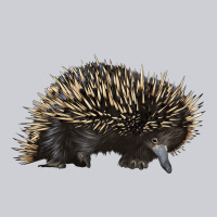 Short Beaked Echidna Heavyweight Sweatshirt | Teevron