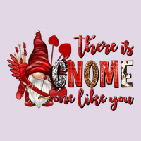 There Is Gnome One Like You Classic Tee | Teevron