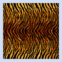 Tiger Seamless Pattern Urban Hoodie | Teevron