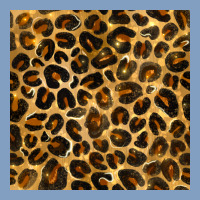 Leopard Seamless Pattern Urban Hoodie | Teevron