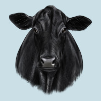 Black Angus Ladies Tee | Teevron