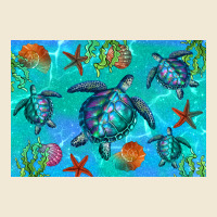 Turtle Seashells Starfish Ladies Tee | Teevron
