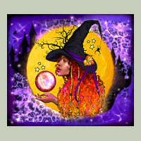 Witch With Crystal Ball Tumbler Ladies Tee | Teevron