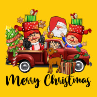 Merry Christmas Truck Gnomies Premium Hoodie | Teevron