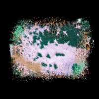 Western Green Cowhide Frame Ladies Tee | Teevron
