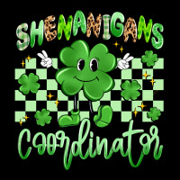 Shenanigans Coordinator Ladies Tee | Teevron