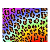 Leopard Background Rainbow 3200x2400 Premium Tee | Teevron