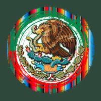 Mexico Coat Of Arms Zipper Hoodie | Teevron