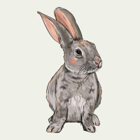 Easter Bunny Urban Heavy Tee | Teevron