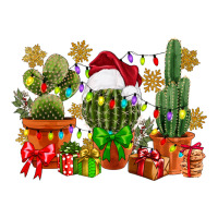 christmas cactus | Teevron