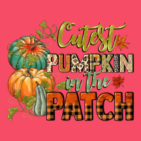 Cutest Pumpkin In The Patch Premium Sweatshirt | Teevron