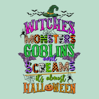 Witches Monsters Goblins And Screams Its Almost Halloween Premium Hoodie | Teevron